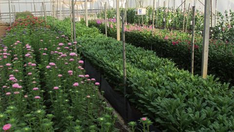 Les stations ouvrent leurs portes comme chaque année pour présenter les résultats des expérimentations © Valérie Vidril